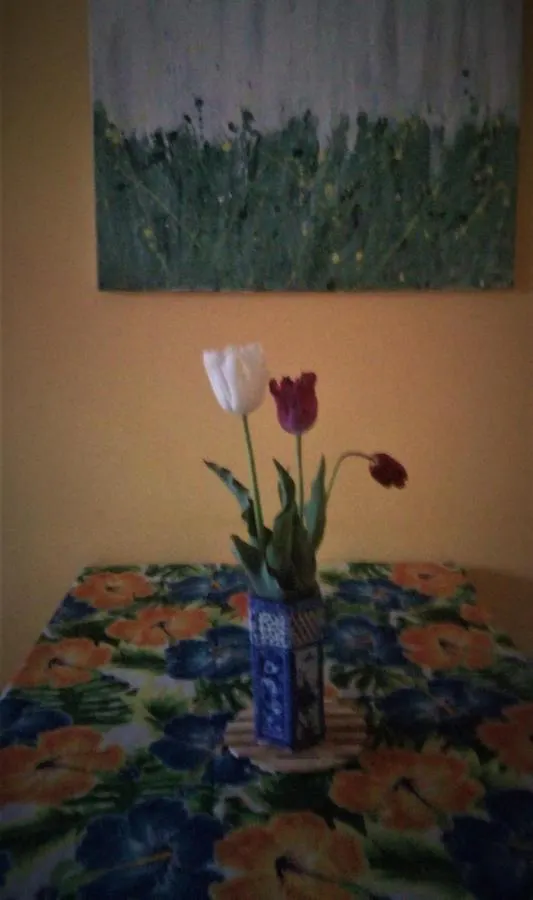 Pippo House Scandicci 0*,  Italy